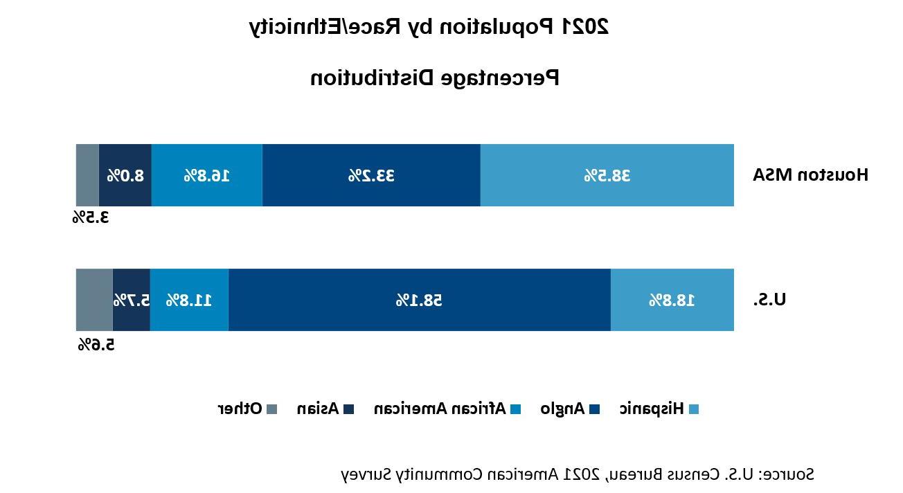 按种族、民族划分的人口